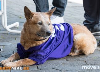 Fulda Saints feiert zweiten Sieg in Folge. Fulda Saints feiert zweiten Sieg in Folge.