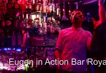 Eugen in Action Eugen in Action