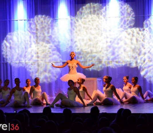 Swanlake Project The Show StepsnStyles Danceschool