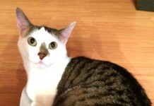 Da fühlt man sich ja wie ne Ölsardine