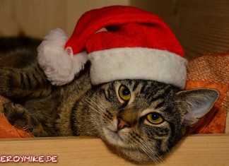 Frohe Weihnachten
