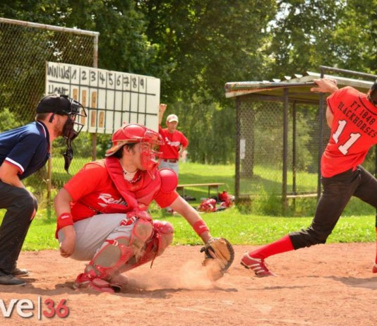 Baseball FT Fulda Blackhorses vs Main Taunus Redwings Jul 2014