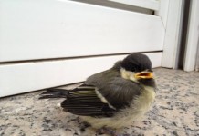 Neues Handyfoto von leroymike.de - er meckert auch übers Wetter Weitere Bilder von mir findet ihr unter www.shooting-star.eu