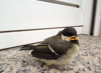 Neues Handyfoto von leroymike.de - er meckert auch übers Wetter Weitere Bilder von mir findet ihr unter www.shooting-star.eu