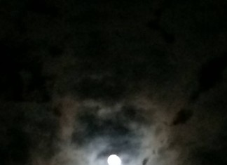 Rentier Weihnachten 2013 Rentier Weihnachten 2013 ein #Mond - #Lama :-D ok ein #Rentier ;-) Weitere Bilder findest du unter www.shooting-star.eu einfach regelmäßig vorbei schauen und auf dem Laufenden bleiben.