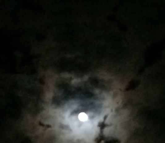 Rentier Weihnachten 2013 Rentier Weihnachten 2013 ein #Mond - #Lama :-D ok ein #Rentier ;-) Weitere Bilder findest du unter www.shooting-star.eu einfach regelmäßig vorbei schauen und auf dem Laufenden bleiben.