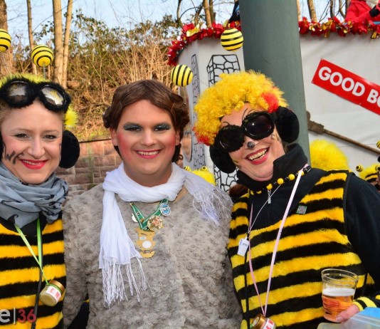 Rosenmontagsumzug Fulda 2015