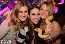 WELCOME TO THE JUNGLE 2014 powered by move36