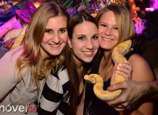 WELCOME TO THE JUNGLE 2014 powered by move36