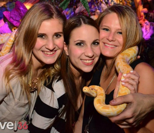 WELCOME TO THE JUNGLE 2014 powered by move36 WELCOME TO THE JUNGLE 2014 powered by move36